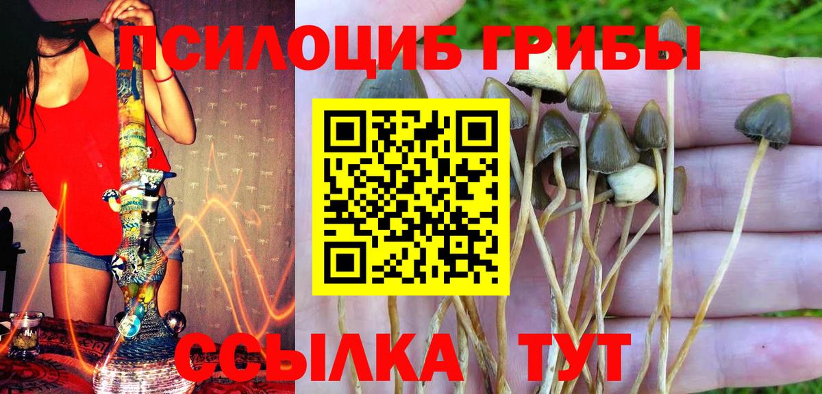 Азов  Псилоцибиновые грибы GOLDEN TEACHER  Вход с VPN 
