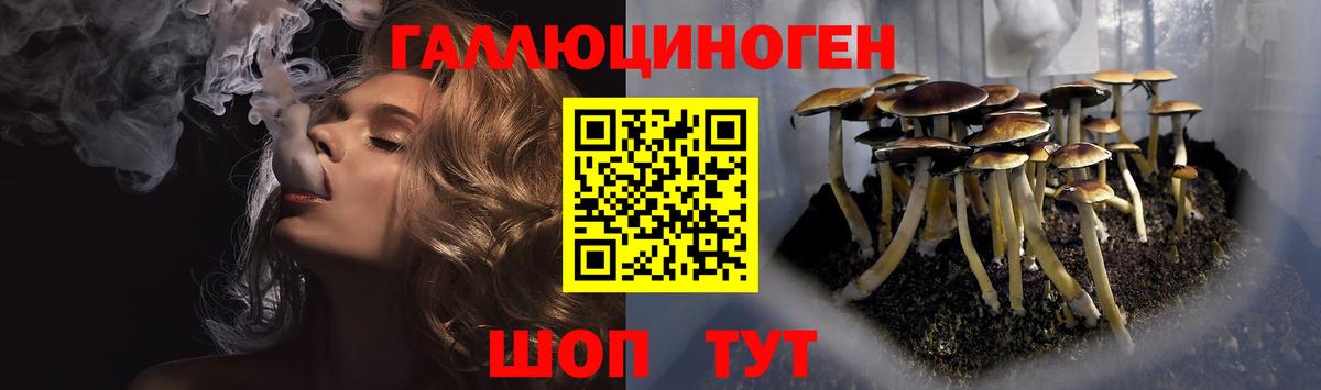 Псилоцибиновые грибы Psilocybine cubensis Азов